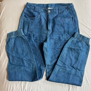 American Eagle Outfitters Light Blue Joggers Long